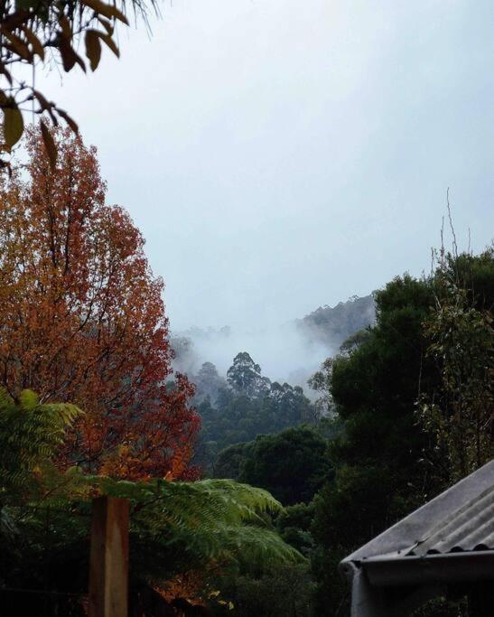 Harrys House Warburton - Peaceful Riverside Cottage In The Perfect Location エクステリア 写真