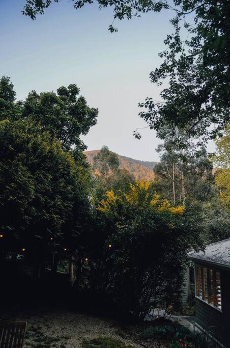 Harrys House Warburton - Peaceful Riverside Cottage In The Perfect Location エクステリア 写真