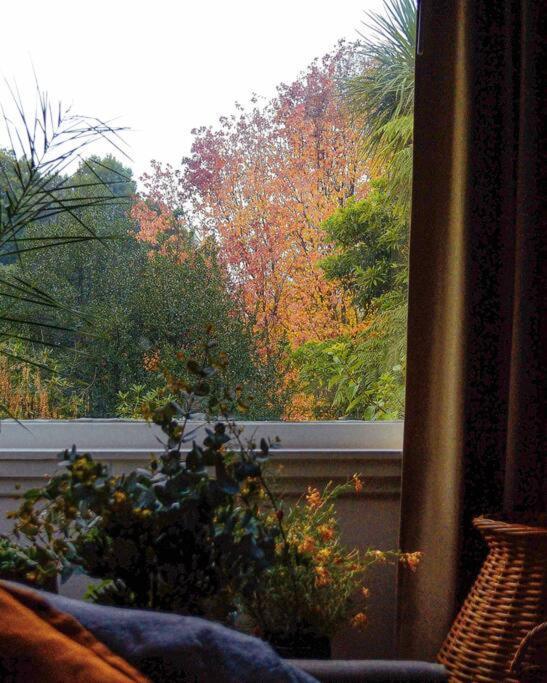 Harrys House Warburton - Peaceful Riverside Cottage In The Perfect Location エクステリア 写真